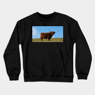 Highland Cow, Scotland Crewneck Sweatshirt